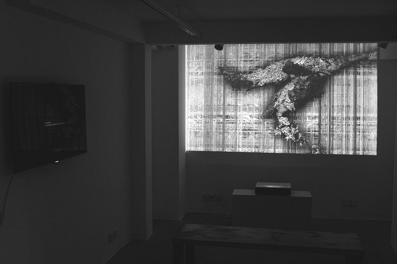 Glitch: Pixel Language, installation view