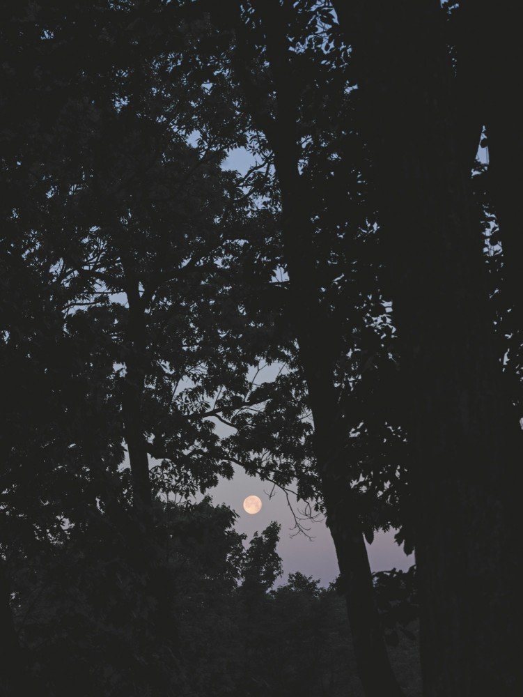 Eduardo Costantini, The Moon, 2020