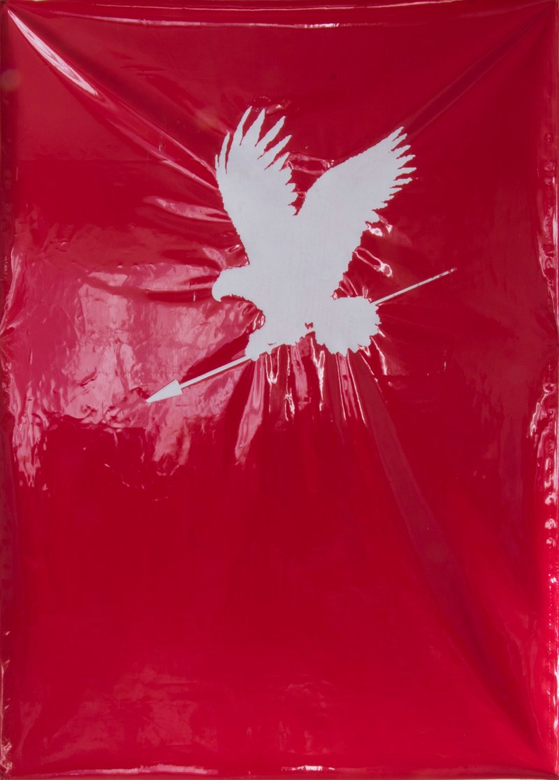 Maryam Mimi Amini, Eagle, 2018