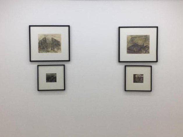 Extinct Condition, installation view