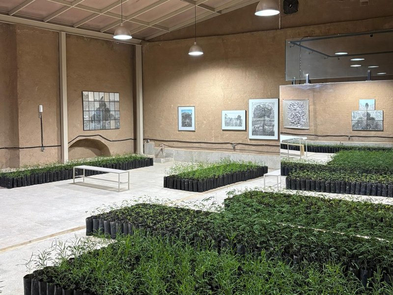 صحرا، صخره، صید، نمای چیدمان