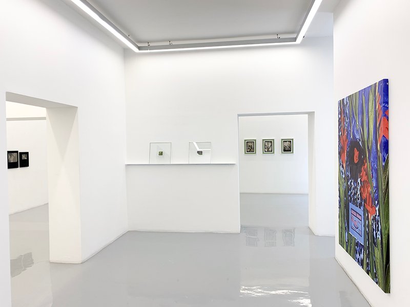 Photogenic, installation view