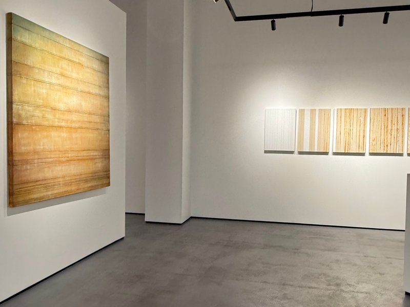 To the Realm of Growth, installation view