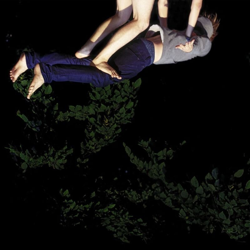 Sascha Weidner, Idiosyncratic II, 2011