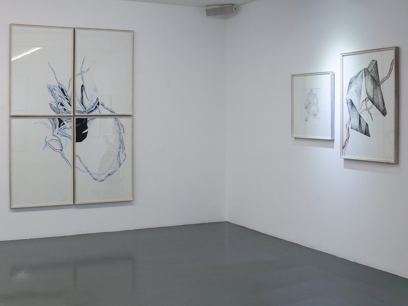 Trim, installation view