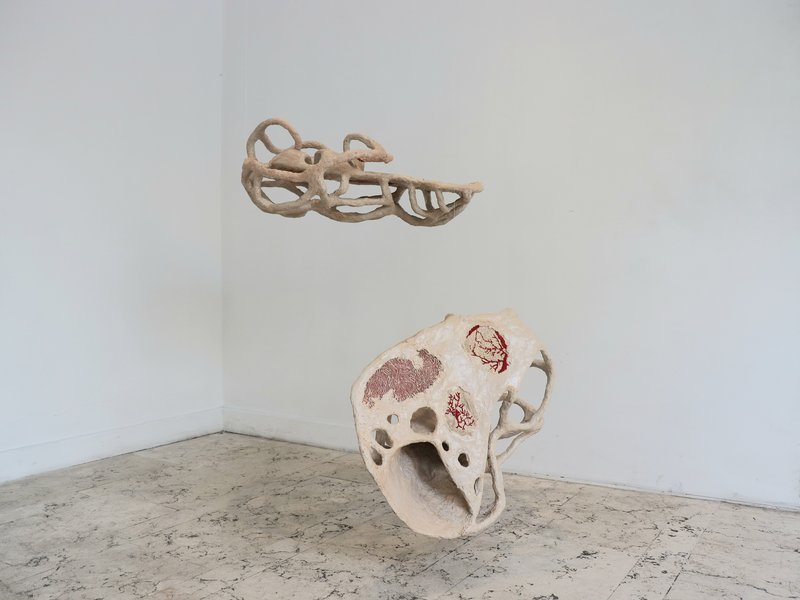 Maturation, installation view