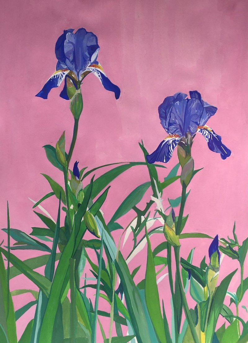 Mozhan Yaghoubi, Blue Pink Baby Iriss, 2021
