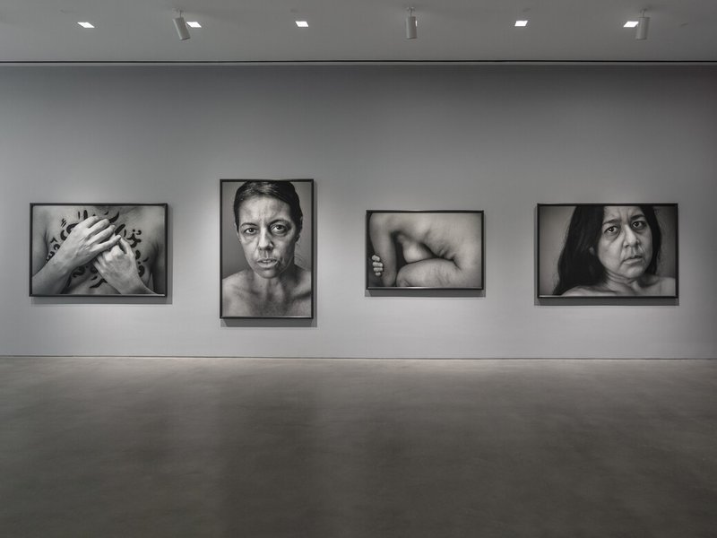 The Fury, installation view