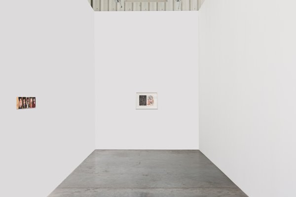 I Can Bite the Hand That Feeds Me, and Gently Caress It Too, installation view