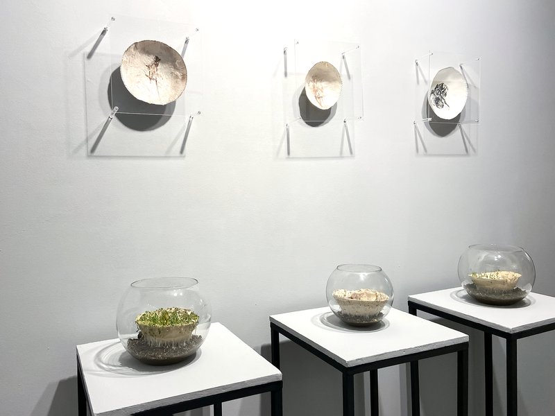 Paper: a Field of Revelation, installation view
