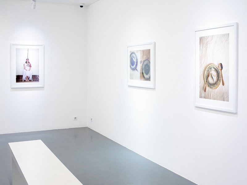 Roots from the Sky, installation view
