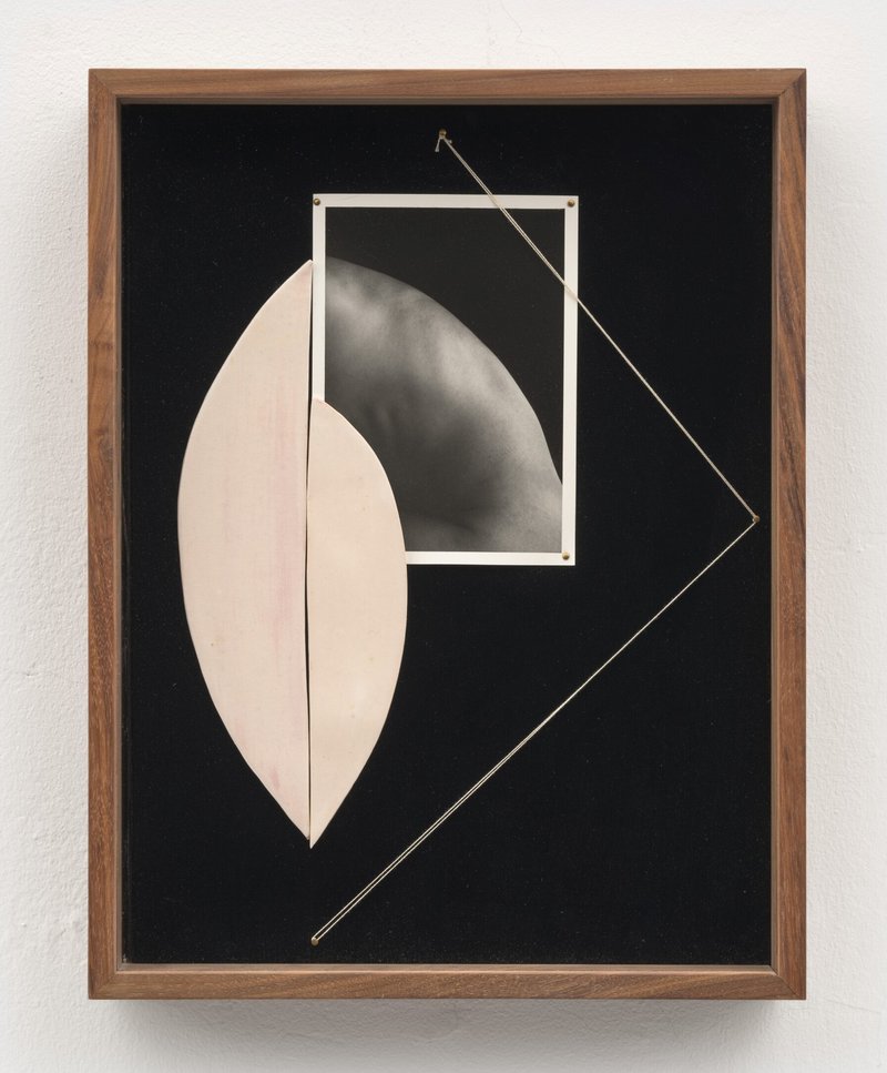Sheree Hovsepian, Loop, 2024