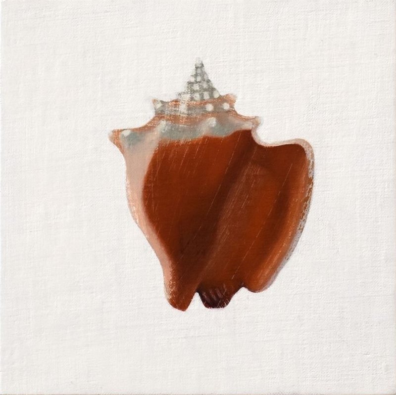 Maryam Amiryani, Shelter: Mini Conch, 2024