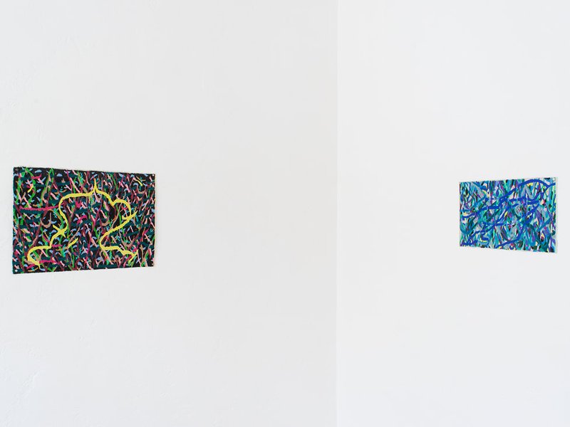 Thing with Feathers, installation view