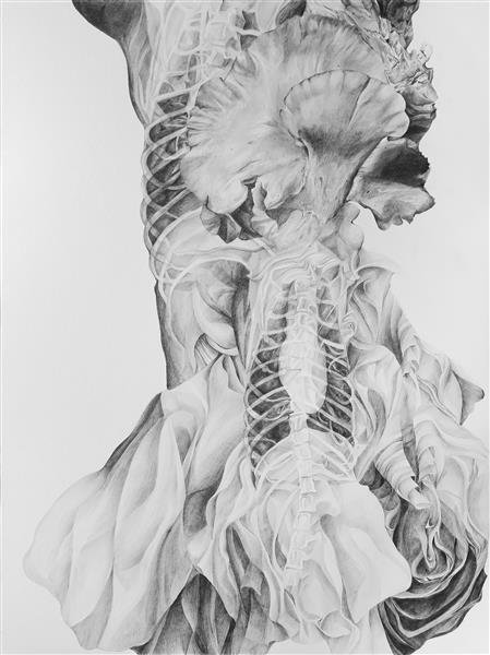 Tara Azarm, Untitled, 0