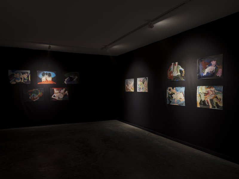 Swan's Death, installation view