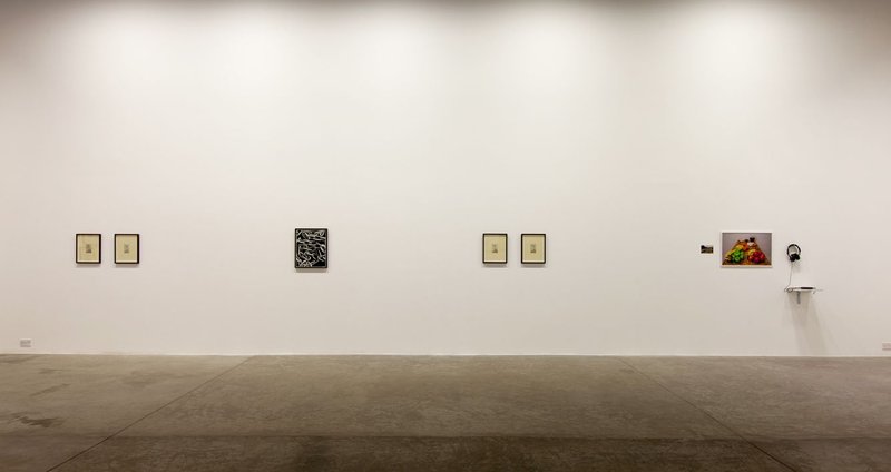 A Permanenent Record fro Future Investigation, installation view