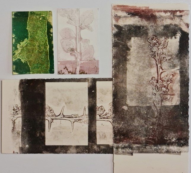 Untitled, 0