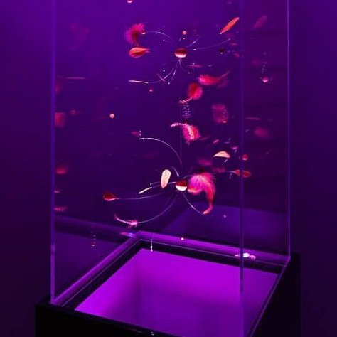 Crypton International Art Festival