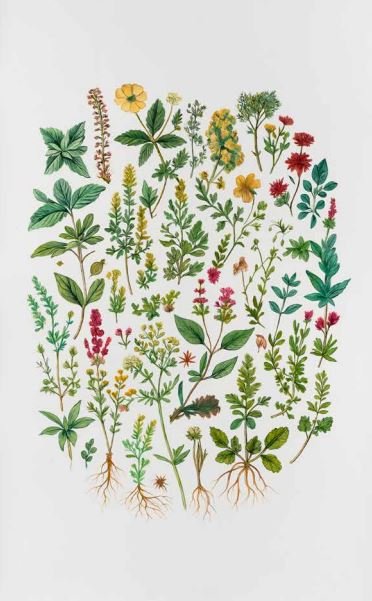 Elaheh Ramezani,  Desert Flowers, 2026