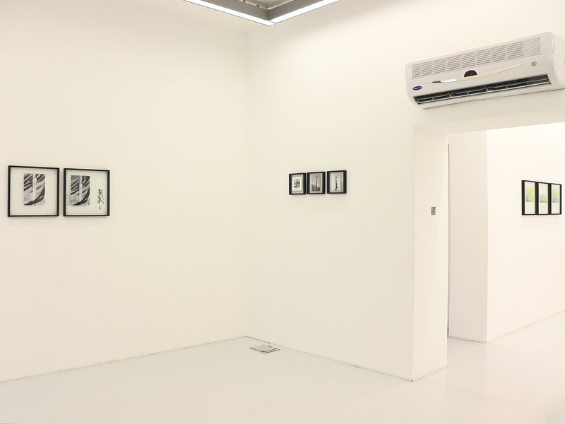 Choice, installation view