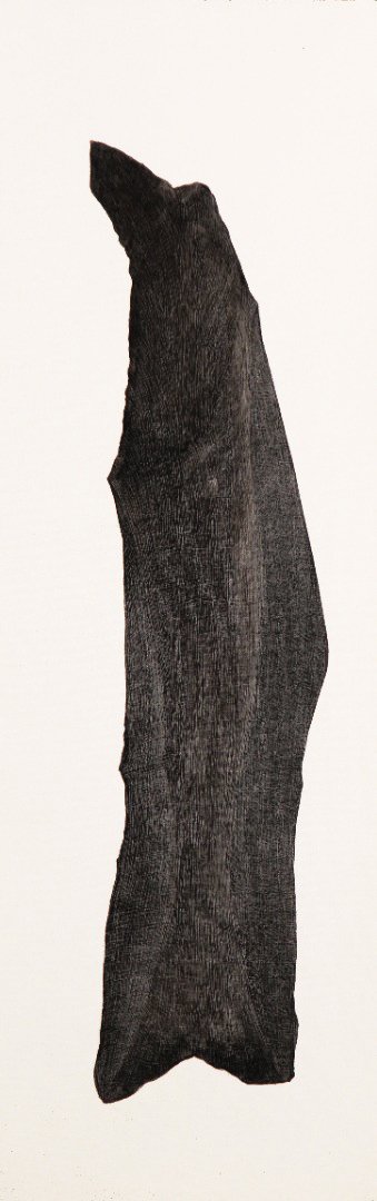 Shiva Kakavandi, Untitled, 2018