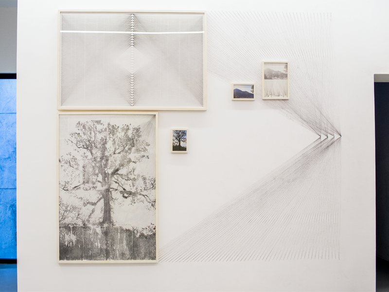 Resemblance, installation view