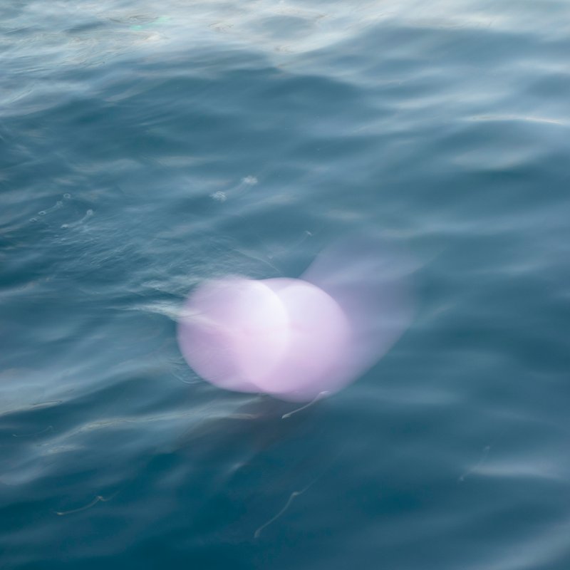 Mehran Mohajer,  Balloon and Sea, 2018