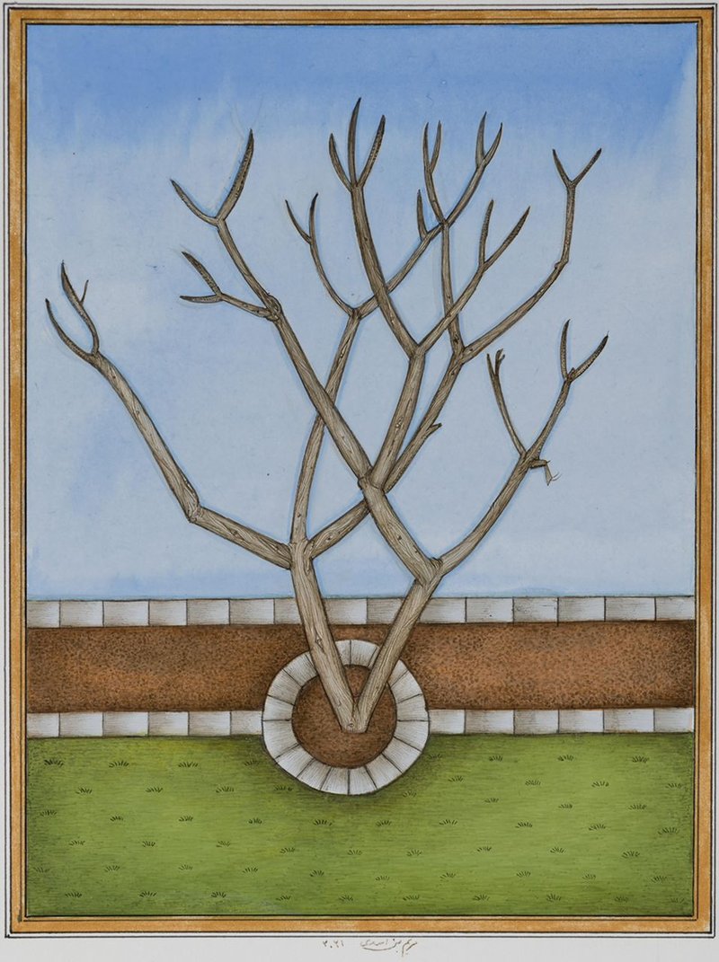 Maryam Baniasadi, Bare Gulcheen Tree, 2021