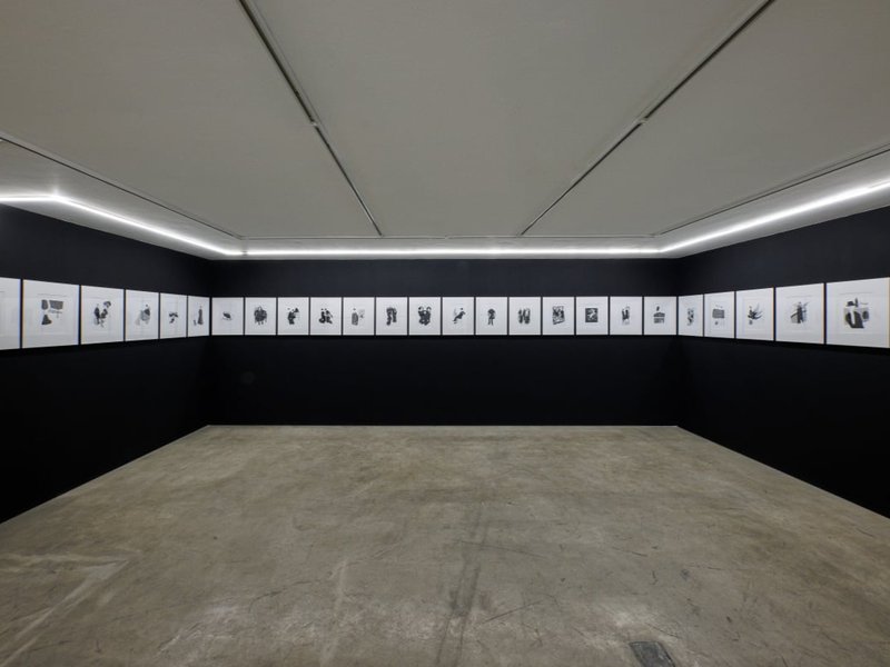 Arabesques and That Flower Bunch, installation view