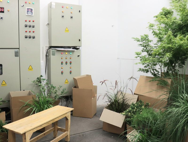 Gather and Graft, installation view