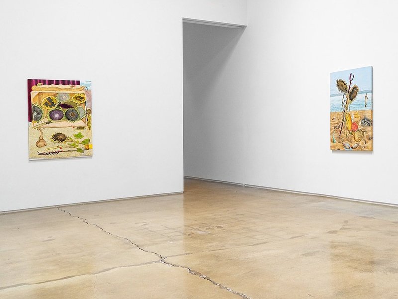 The Mutilated Gaze, installation view
