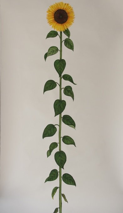 Maryam Baniasadi, A Sun Flower, 2019