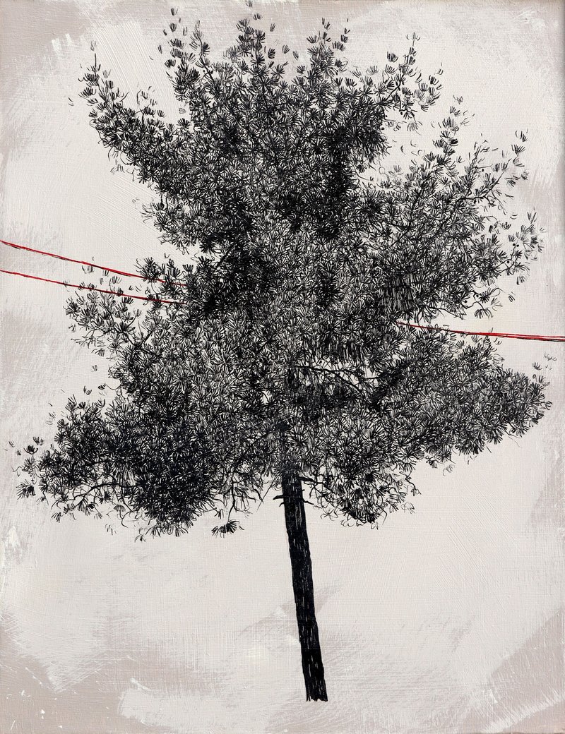Ali Ghorbanian, Untitled, 0