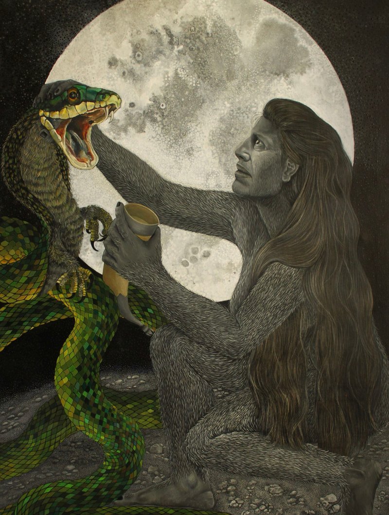 Negin Javaheri, Untitled, 0