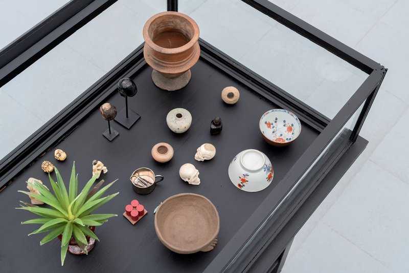 Cyanide, installation view