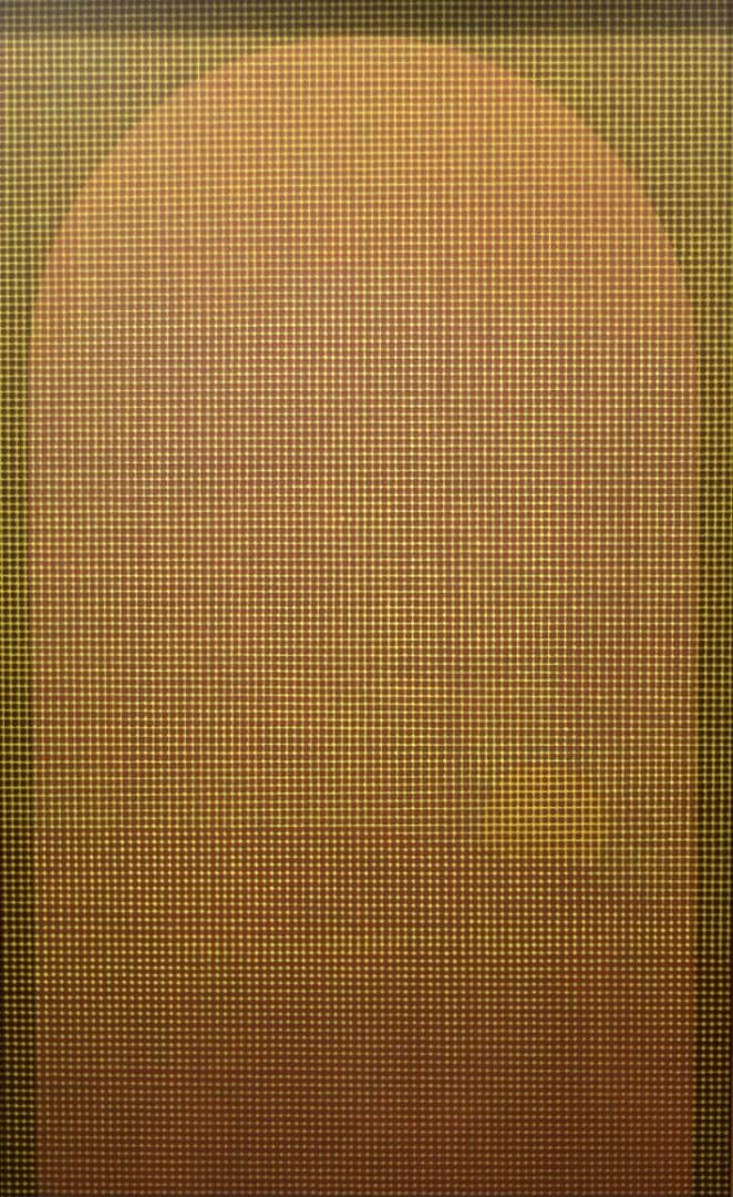 Yahya Gomar, Untitled, 2022