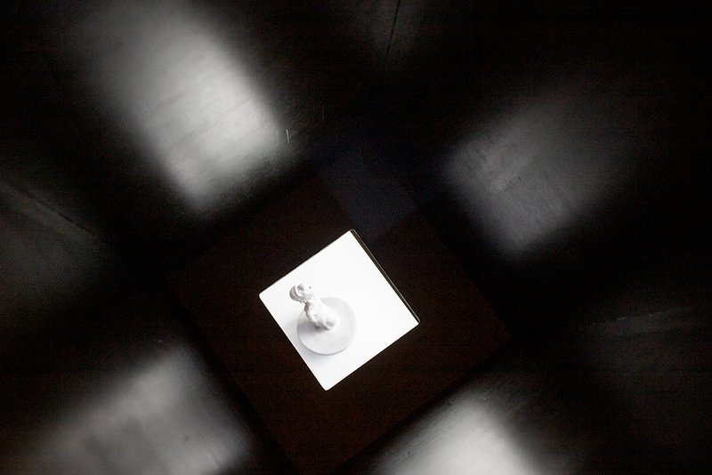 Uncertain And Endless From ongoing series “Homo”, installation view