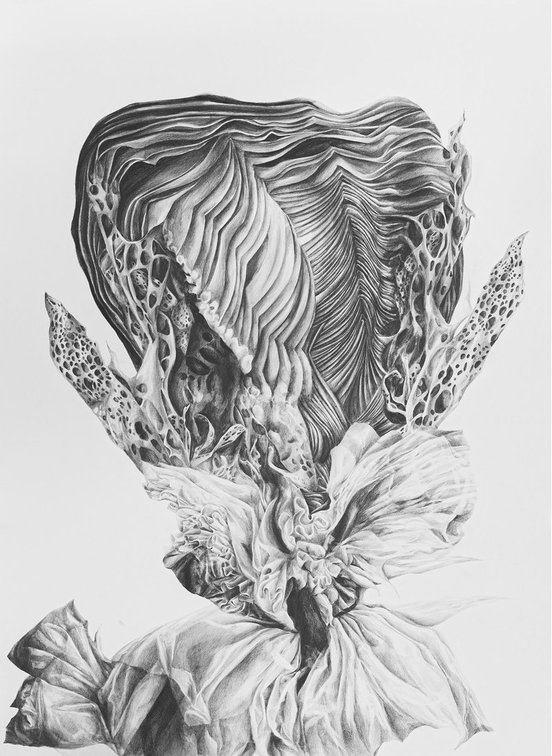 Tara Azarm, Untitled, 2024
