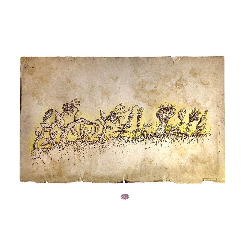 Kambiz Derambakhsh, Untitled, 0
