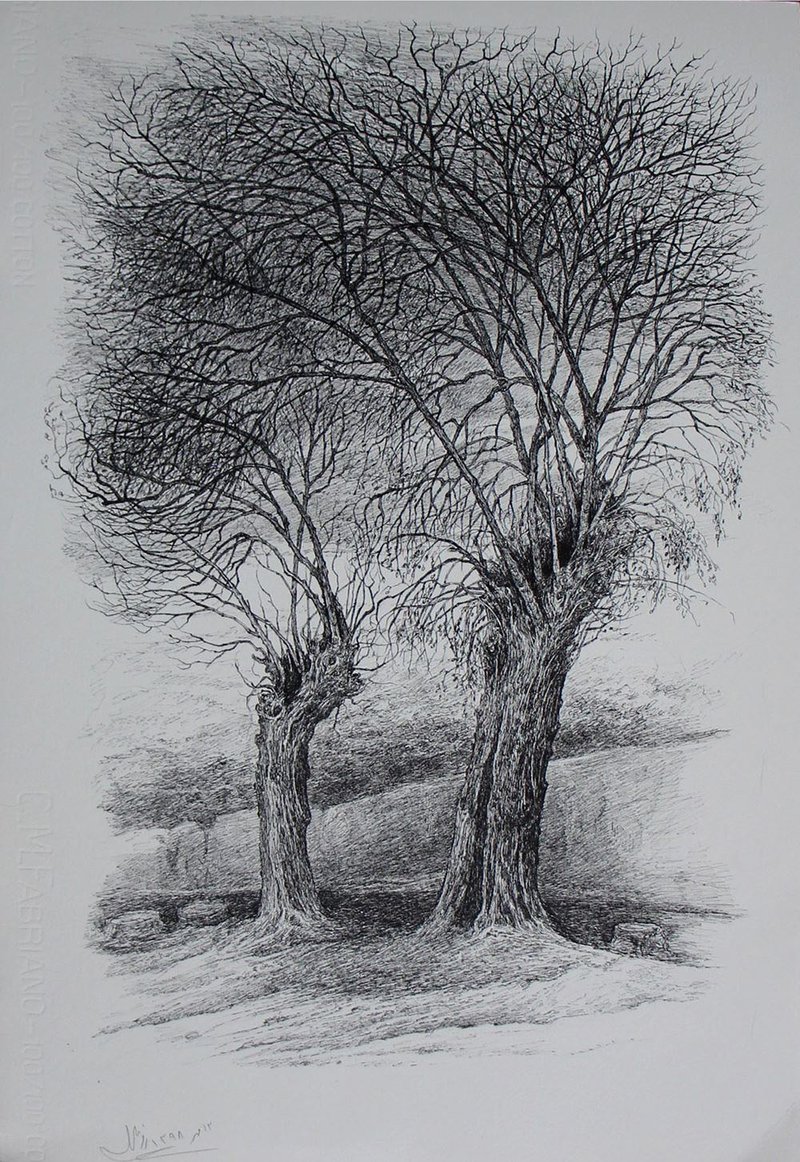 Afsaneh Masaeli, Untitled, 2019