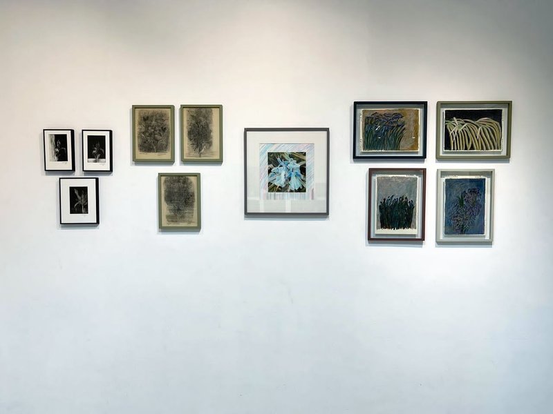 Wild Flowers, installation view
