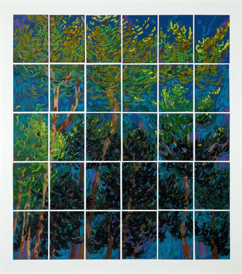 Pegah Shamloo, Schwarzwald, 2023