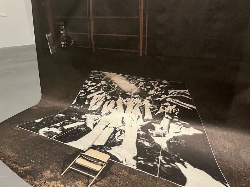 Imago, installation view