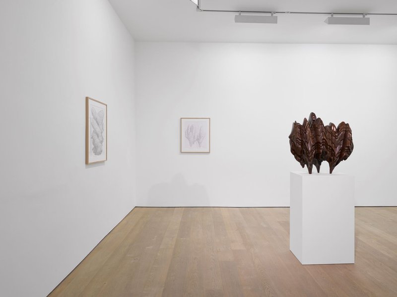 Group Presentation, installation view