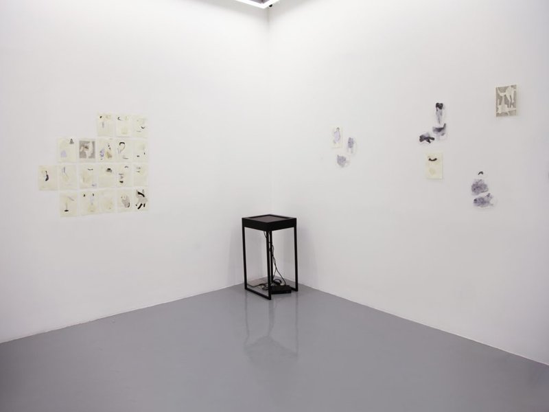 On The Snail’s Circuit, installation view