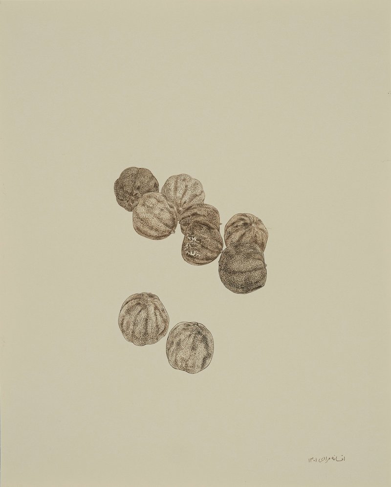 Afsaneh Moradi, Untitled, 2022