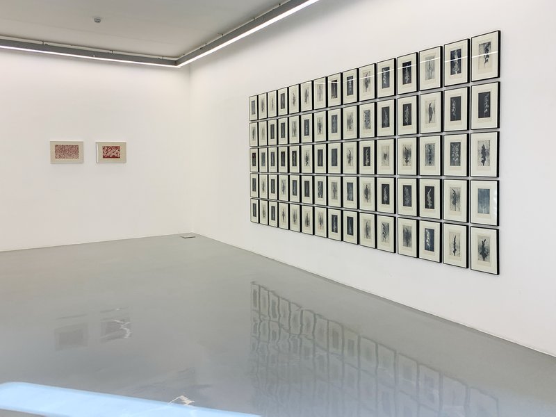 Indefinite Tokens, installation view