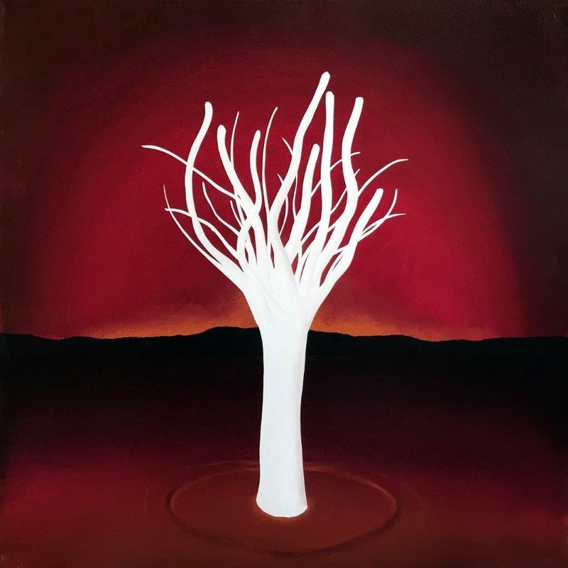 Hamed Sahihi, Untitled, 0