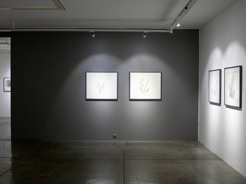 The bottle of time, installation view